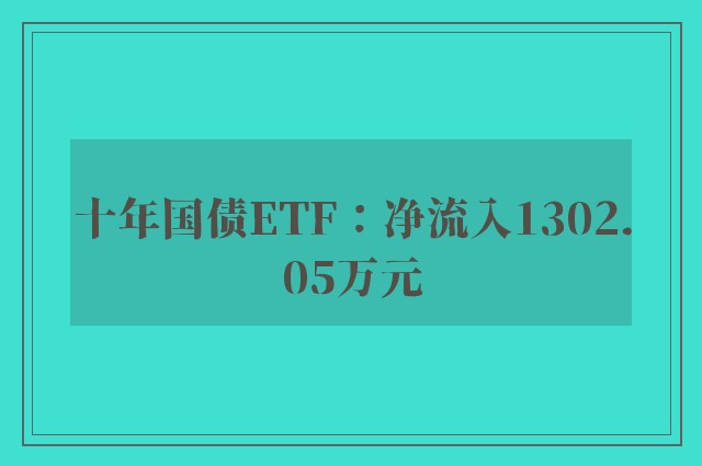 十年国债ETF：净流入1302.05万元