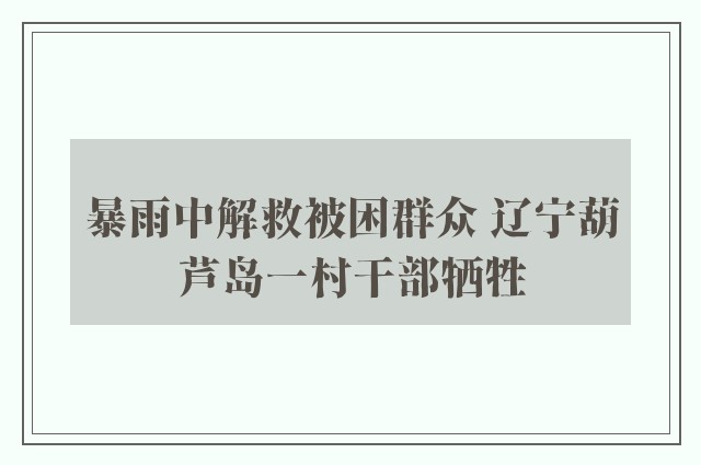 暴雨中解救被困群众 辽宁葫芦岛一村干部牺牲