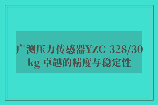 广测压力传感器YZC-328/30kg 卓越的精度与稳定性