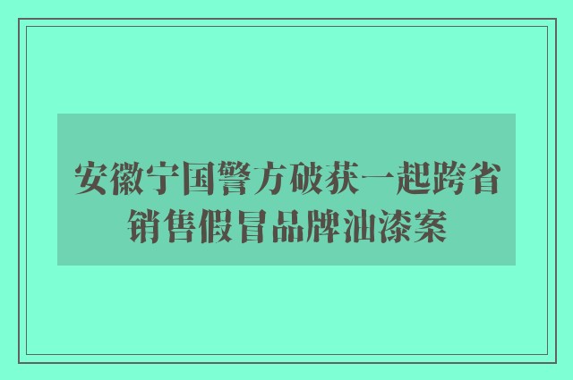 安徽宁国警方破获一起跨省销售假冒品牌油漆案