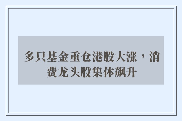 多只基金重仓港股大涨，消费龙头股集体飙升