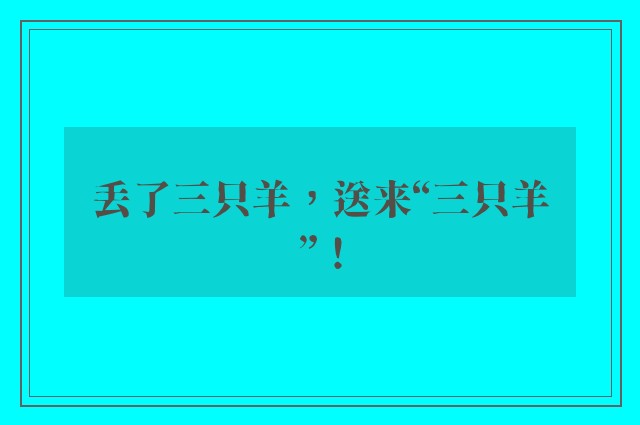 丢了三只羊，送来“三只羊”！