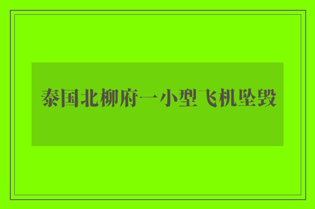 泰国北柳府一小型飞机坠毁