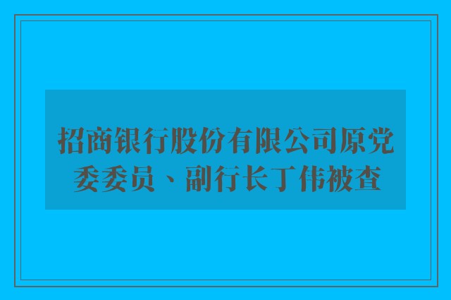 招商银行股份有限公司原党委委员、副行长丁伟被查