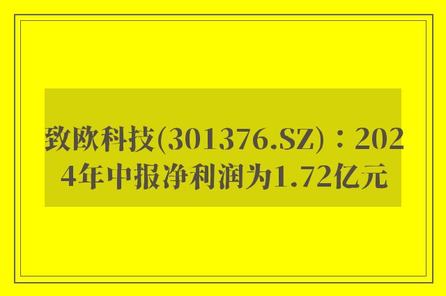 致欧科技(301376.SZ)：2024年中报净利润为1.72亿元