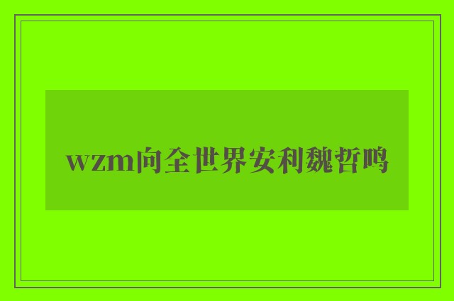 wzm向全世界安利魏哲鸣