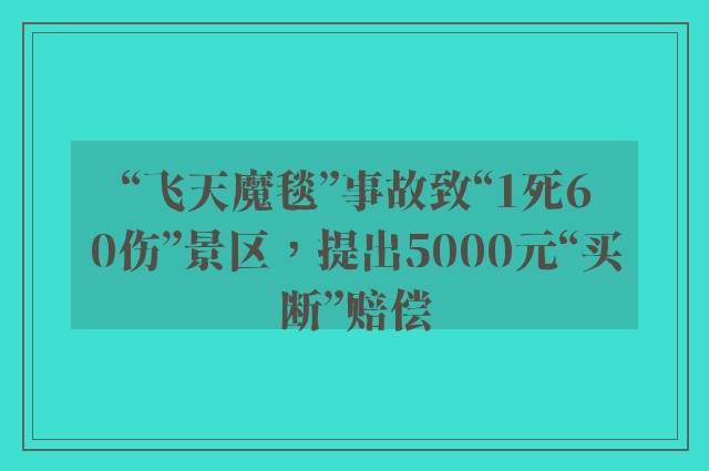 “飞天魔毯”事故致“1死60伤”景区，提出5000元“买断”赔偿