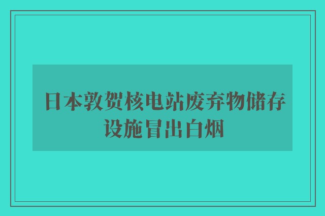 日本敦贺核电站废弃物储存设施冒出白烟