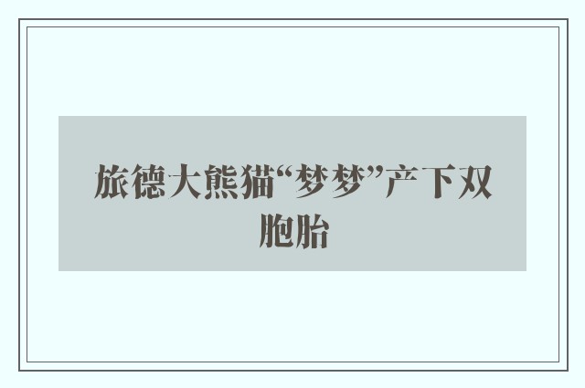 旅德大熊猫“梦梦”产下双胞胎