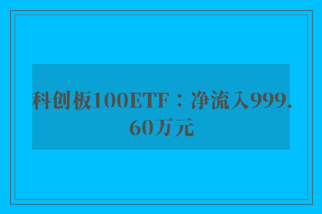 科创板100ETF：净流入999.60万元