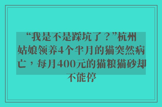 “我是不是踩坑了？”杭州姑娘领养4个半月的猫突然病亡，每月400元的猫粮猫砂却不能停