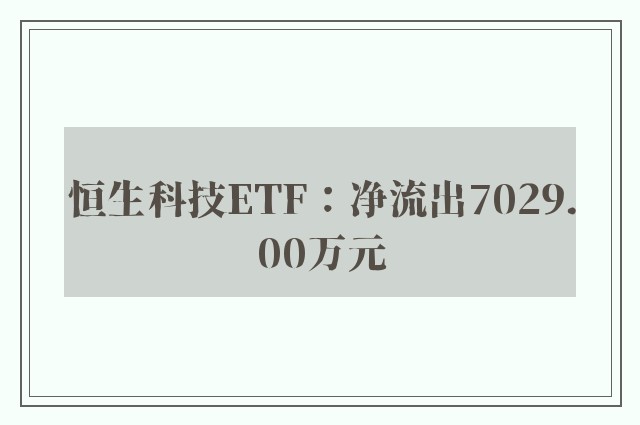 恒生科技ETF：净流出7029.00万元