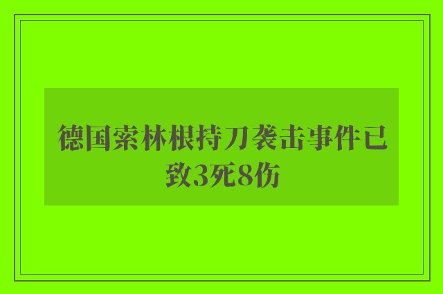 德国索林根持刀袭击事件已致3死8伤