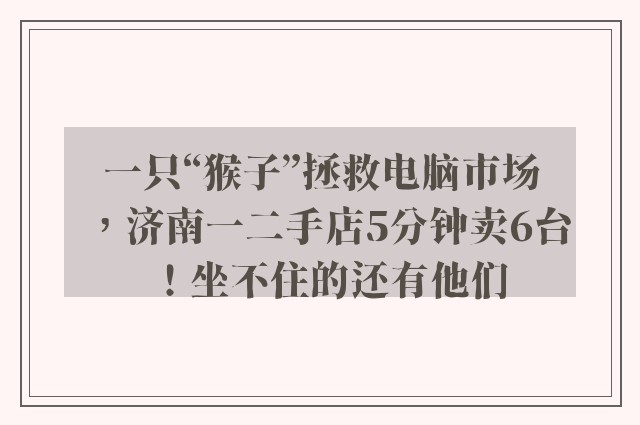 一只“猴子”拯救电脑市场，济南一二手店5分钟卖6台！坐不住的还有他们