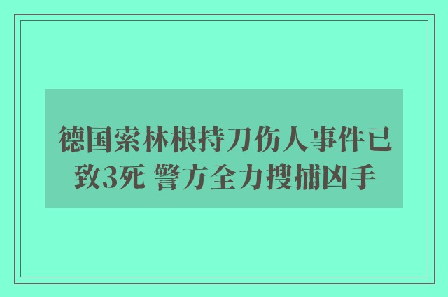 德国索林根持刀伤人事件已致3死 警方全力搜捕凶手