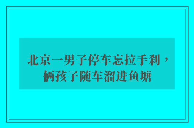 北京一男子停车忘拉手刹，俩孩子随车溜进鱼塘