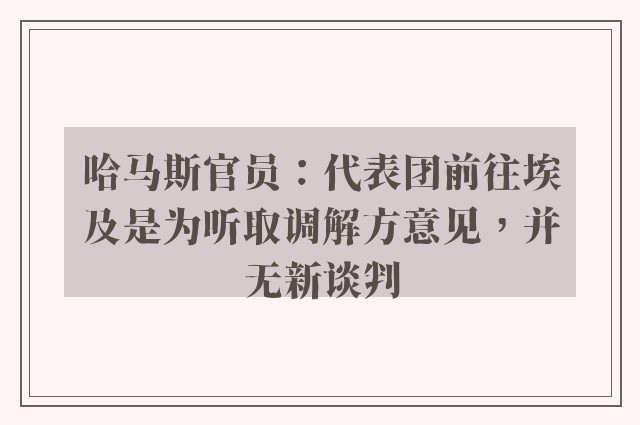 哈马斯官员：代表团前往埃及是为听取调解方意见，并无新谈判