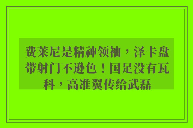 费莱尼是精神领袖，泽卡盘带射门不逊色！国足没有瓦科，高准翼传给武磊