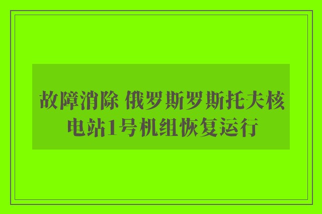 故障消除 俄罗斯罗斯托夫核电站1号机组恢复运行