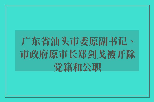 广东省汕头市委原副书记、市政府原市长郑剑戈被开除党籍和公职