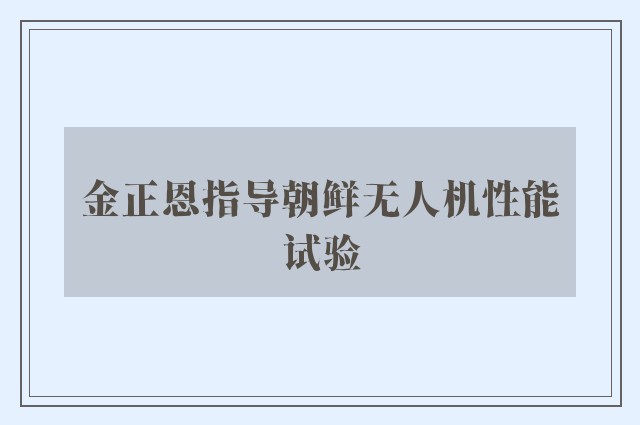 金正恩指导朝鲜无人机性能试验