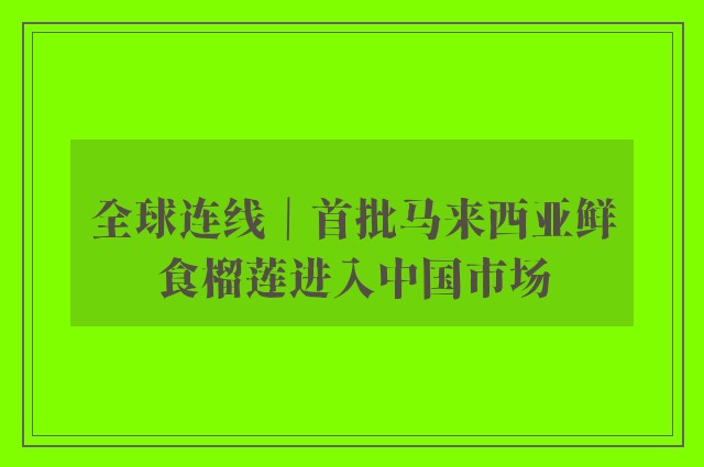 全球连线｜首批马来西亚鲜食榴莲进入中国市场