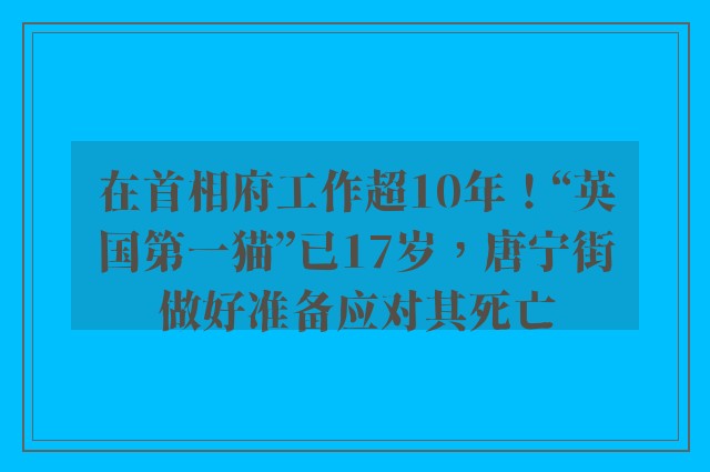 在首相府工作超10年！“英国第一猫”已17岁，唐宁街做好准备应对其死亡