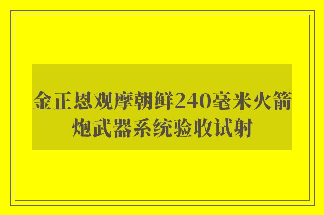 金正恩观摩朝鲜240毫米火箭炮武器系统验收试射