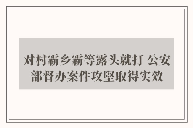 对村霸乡霸等露头就打 公安部督办案件攻堅取得实效