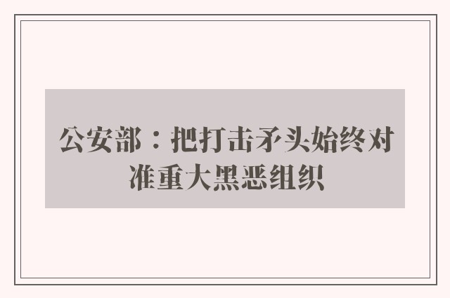 公安部：把打击矛头始终对准重大黑恶组织