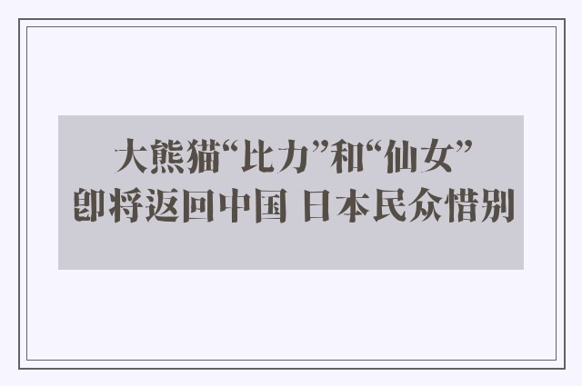 大熊猫“比力”和“仙女”即将返回中国 日本民众惜别