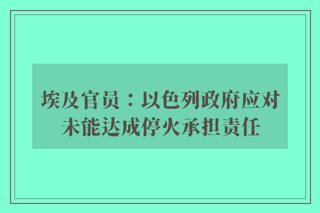 埃及官员：以色列政府应对未能达成停火承担责任