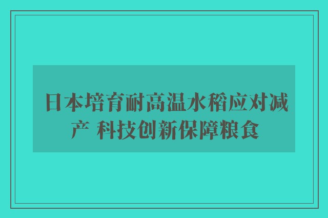 日本培育耐高温水稻应对减产 科技创新保障粮食