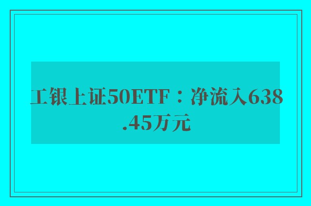 工银上证50ETF：净流入638.45万元