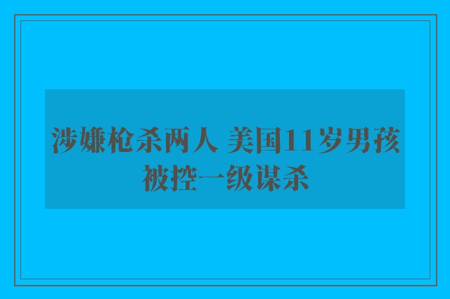 涉嫌枪杀两人 美国11岁男孩被控一级谋杀