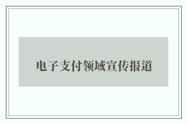 电子支付领域宣传报道