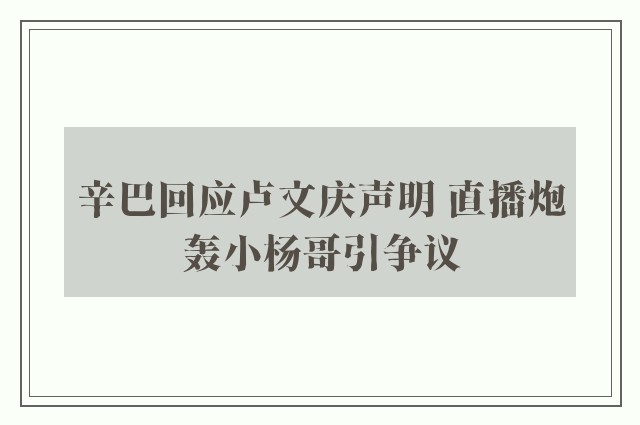 辛巴回应卢文庆声明 直播炮轰小杨哥引争议