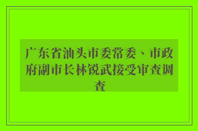 广东省汕头市委常委、市政府副市长林锐武接受审查调查