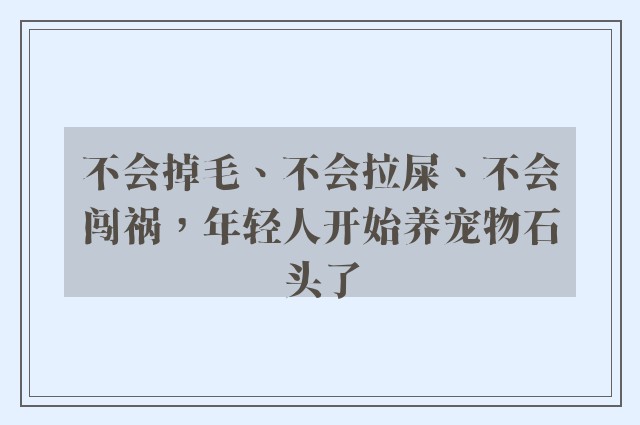 不会掉毛、不会拉屎、不会闯祸，年轻人开始养宠物石头了