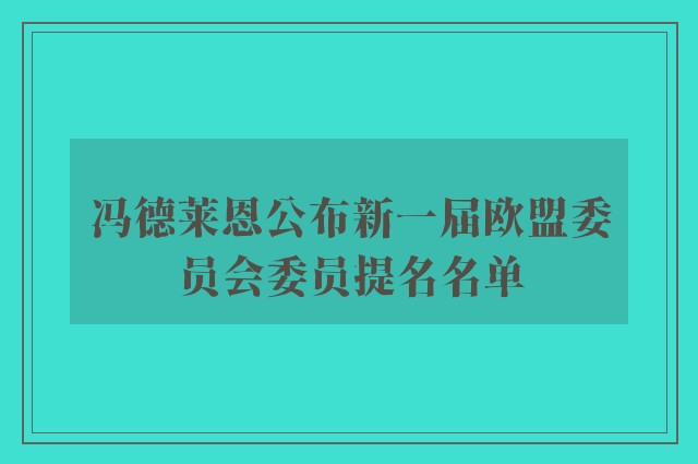 冯德莱恩公布新一届欧盟委员会委员提名名单