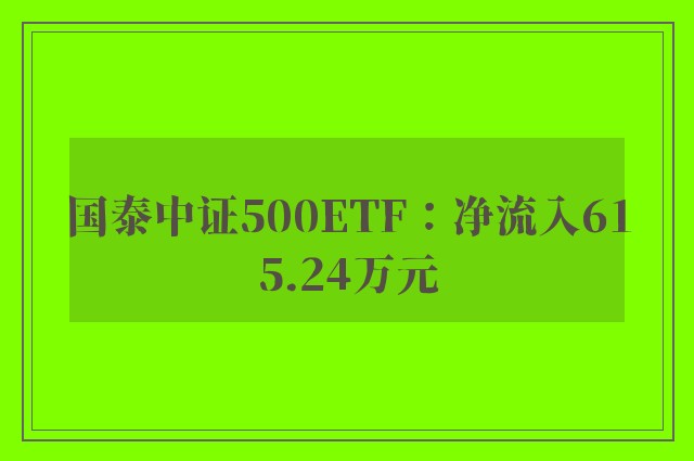 国泰中证500ETF：净流入615.24万元