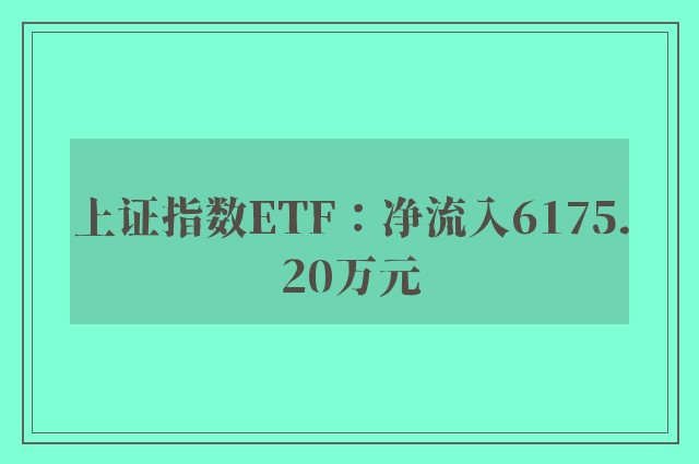 上证指数ETF：净流入6175.20万元