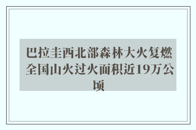 巴拉圭西北部森林大火复燃 全国山火过火面积近19万公顷