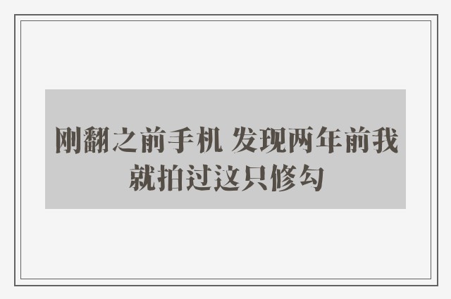 刚翻之前手机 发现两年前我就拍过这只修勾