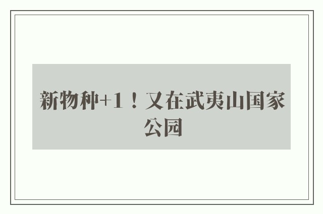 新物种+1！又在武夷山国家公园