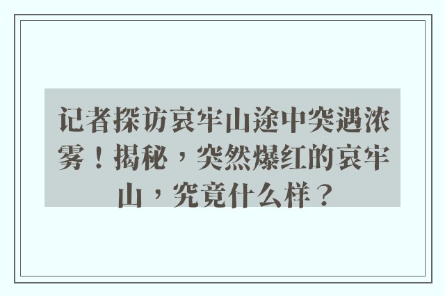 记者探访哀牢山途中突遇浓雾！揭秘，突然爆红的哀牢山，究竟什么样？